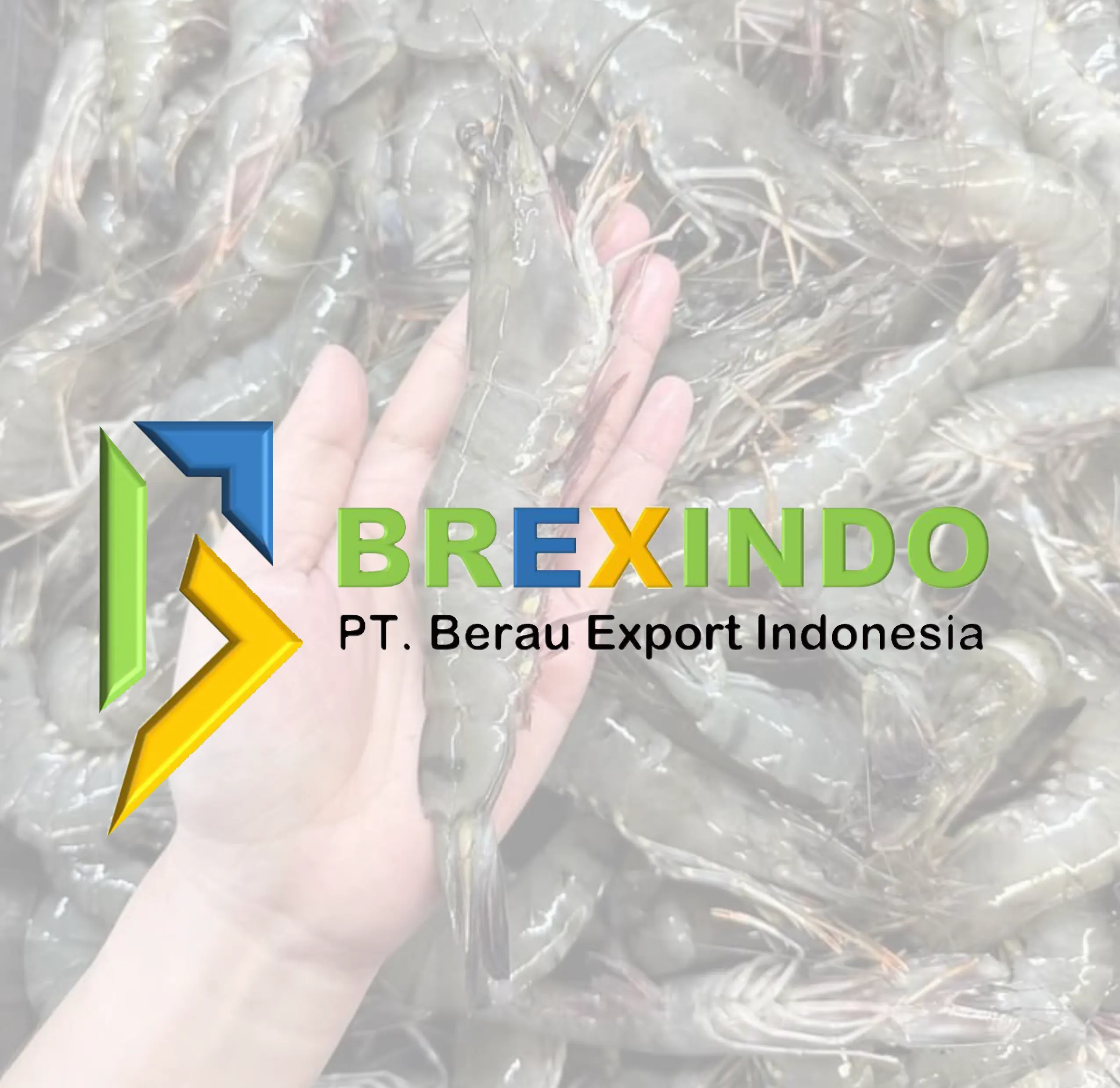 Brexindo